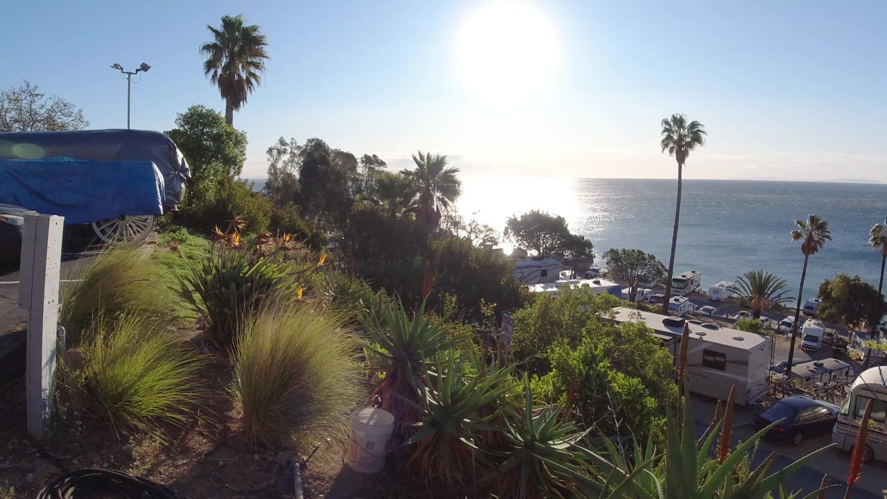 Malibu, California shoreline campground at 0:02 with intense sun in the sky, reflective water, palms, leafy foreground plants, trailers, cars, and no visible people.