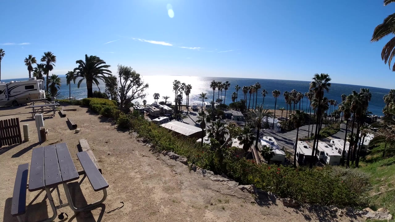 Palm-lined ocean view with RVs below a sunny dirt overlook.