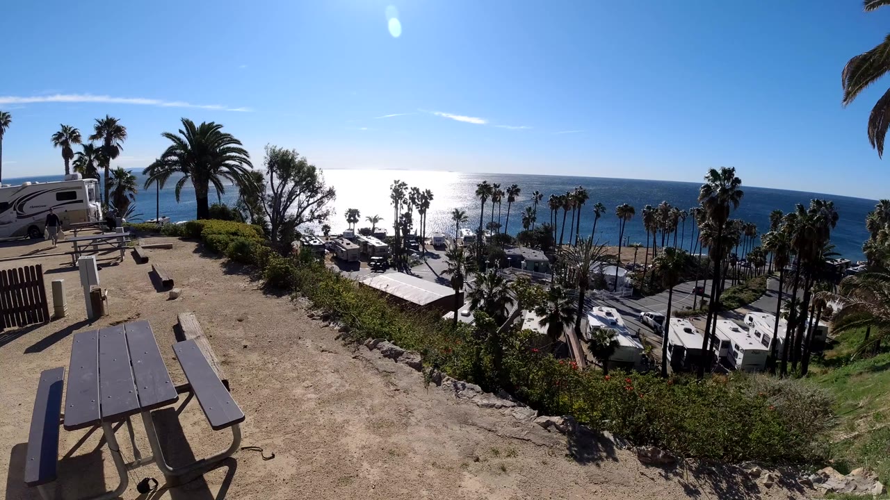 Picnic table above palm-lined beach parking and bright ocean
