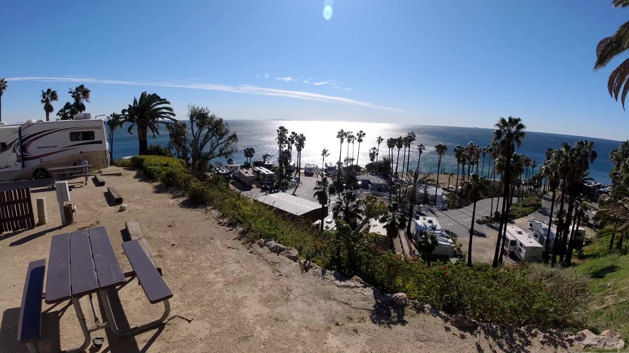 Wide Malibu overlook frame with a curved horizon, palms crossing the ocean view, parked RVs and cars below, a picnic table at lower left, and no visible people.