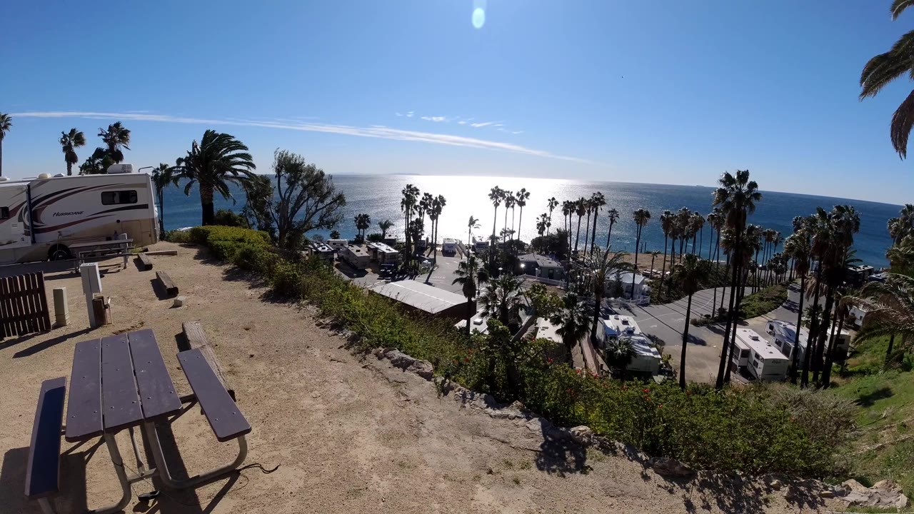 Windy palm trees and parked RVs below a sunny ocean overlook.