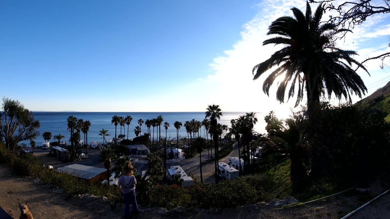 Wide elevated Malibu coastal view at the start of the clip, with palm trees, bright sun behind a large palm, ocean horizon, parked vehicles, and small people visible near the dirt path.
