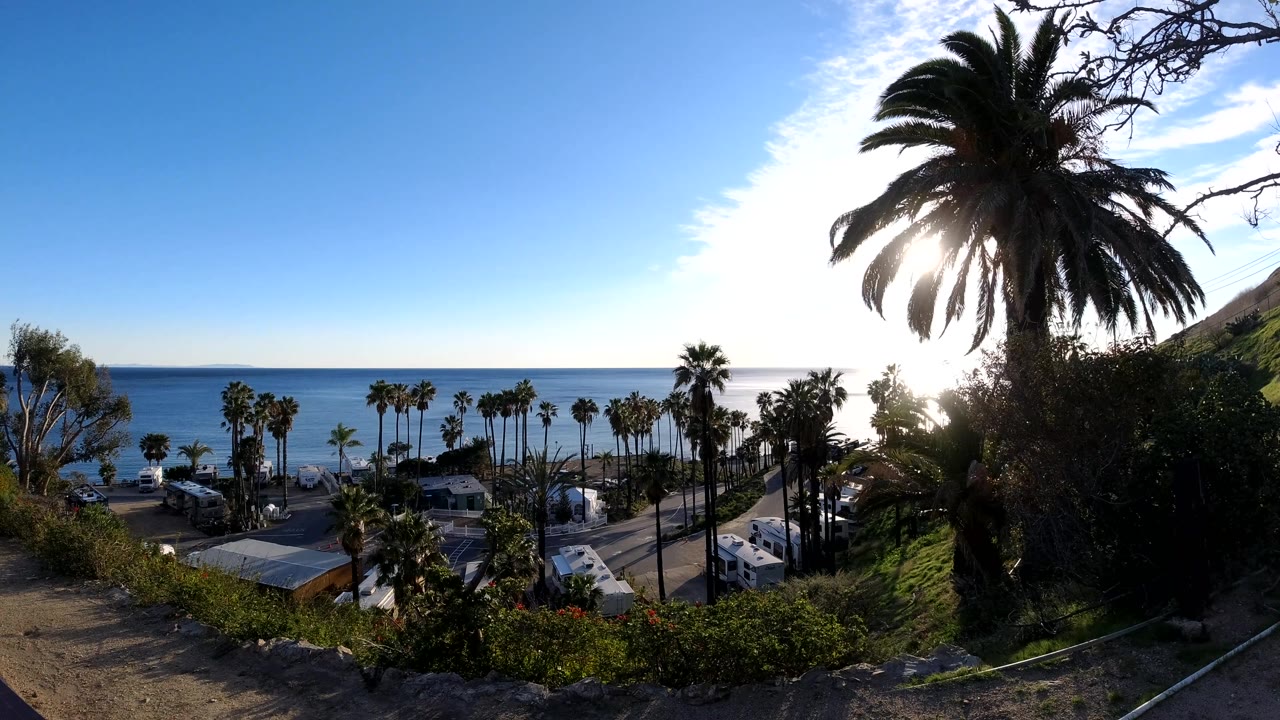 Wide elevated Malibu view with the sun shining through the large foreground palm, smaller palms along the shore, parked vehicles below, and the ocean horizon across the background.