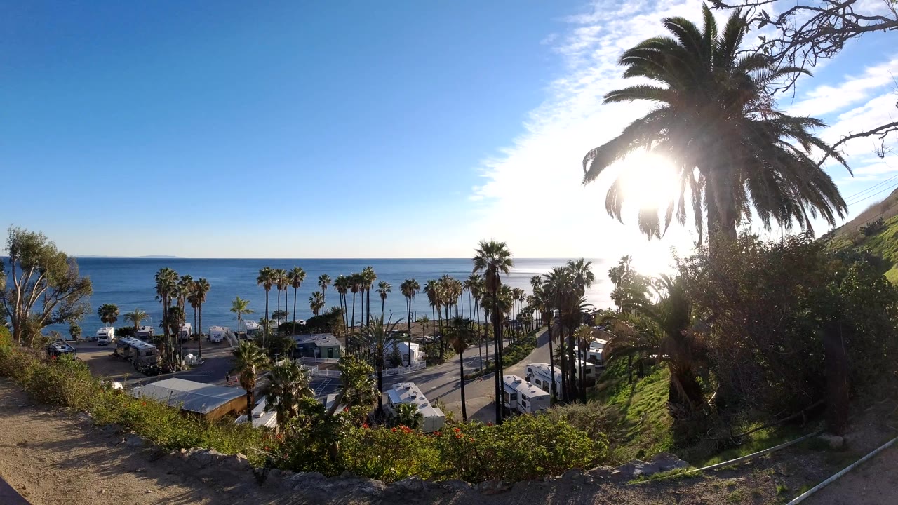 Bright coastal view with blue ocean, palm trees, hillside plants, and a sandy path.
