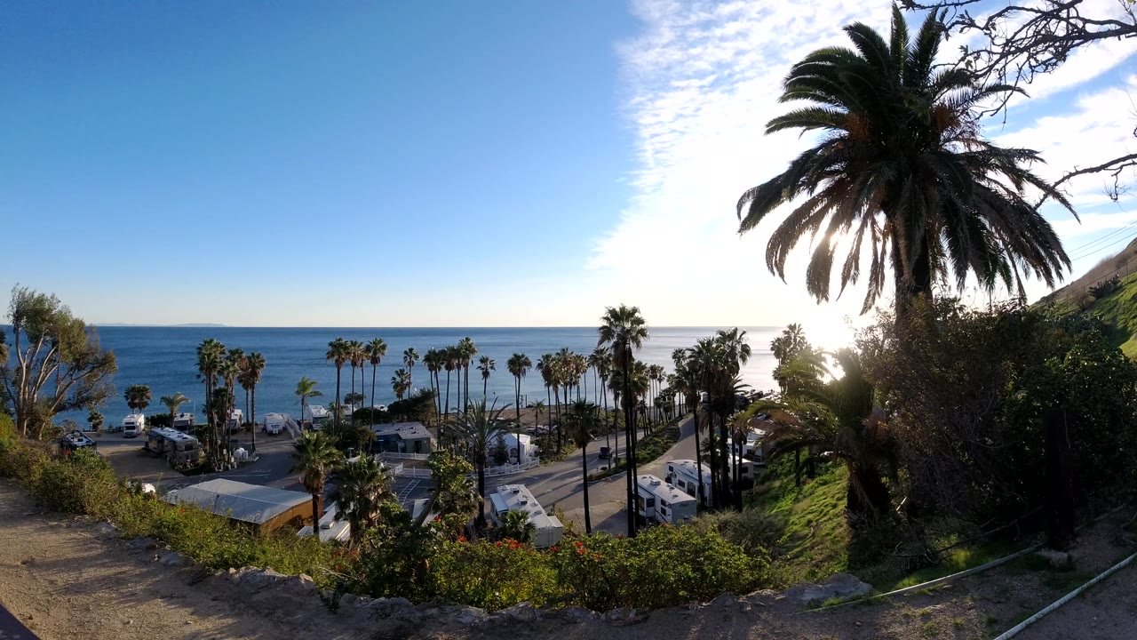 Malibu overlook frame with a large foreground palm silhouetted by the sun, ocean in the background, roadside palms, cars, rooftops, and no recognizable people visible.