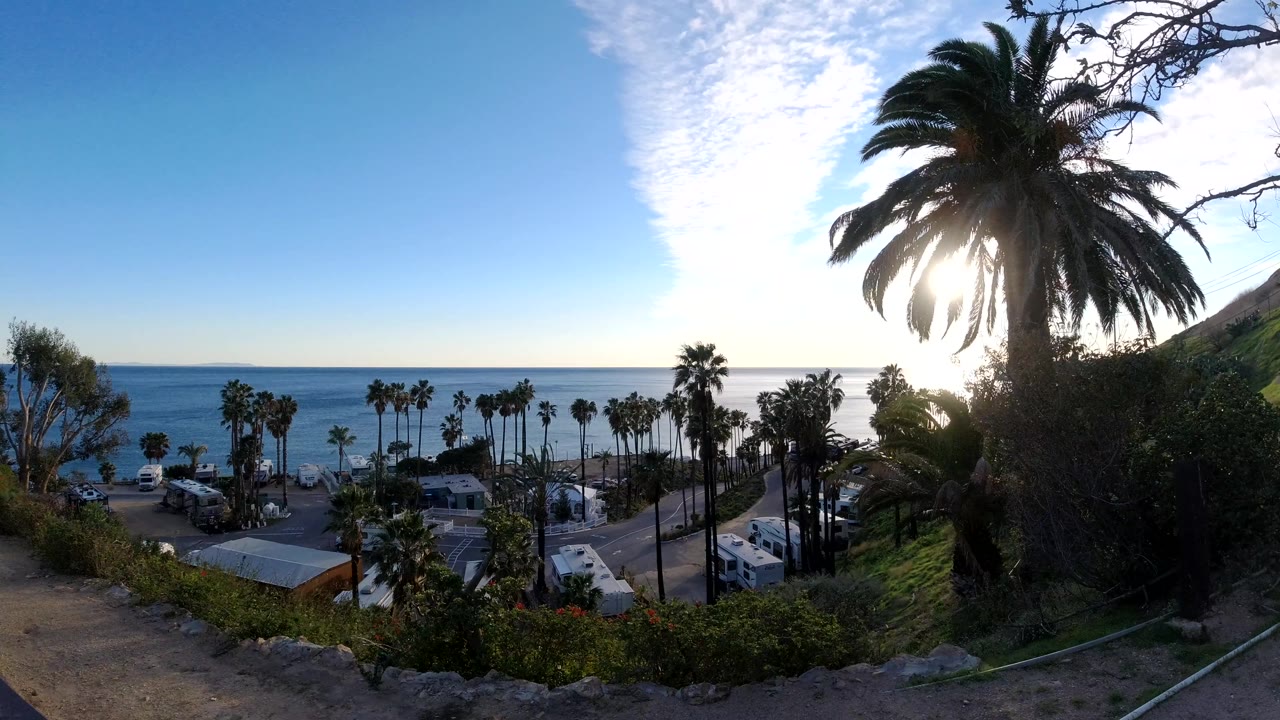 Malibu overlook frame with palms across the lower slope, ocean in the background, a bright sun patch near the large right-side palm, and no visible people.