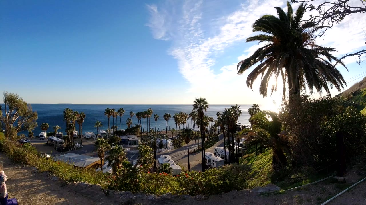 Malibu, California coastal overlook with palm trees, parked vehicles, low buildings, blue ocean, and bright sun behind a tall palm, with no visible people.