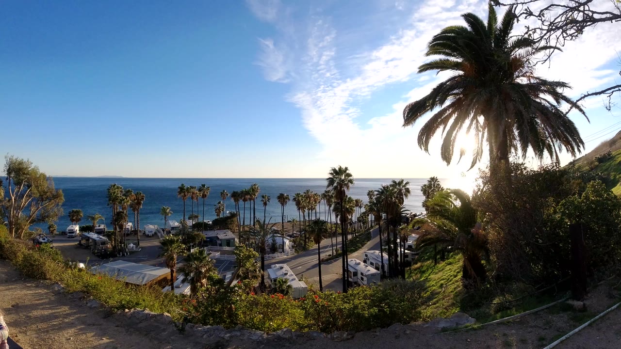 Malibu coastal scene with a palm-lined road below the overlook, blue ocean beyond the buildings, and a large palm partly silhouetted against the low sun, with no visible people.