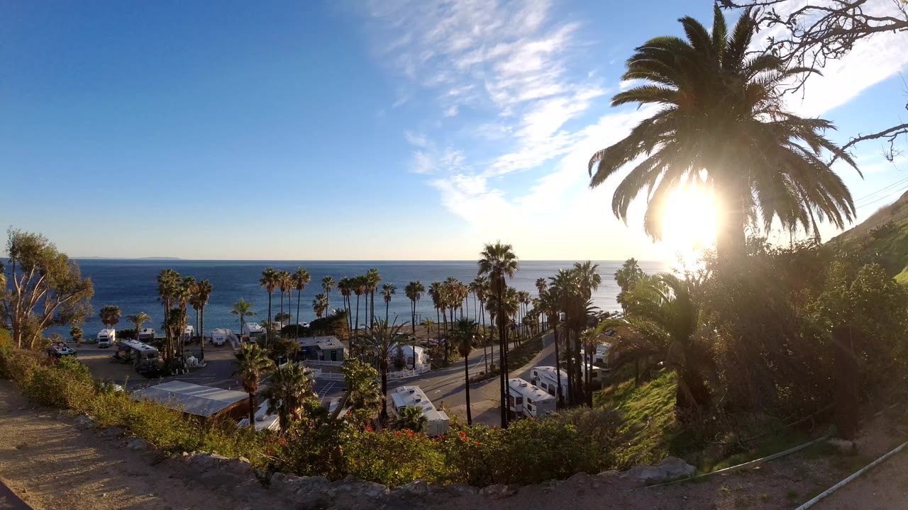 Malibu, California view from above a palm-lined motorhome parking area, with the ocean horizon behind it, strong sun glare near the large right-side palm, and no visible people.