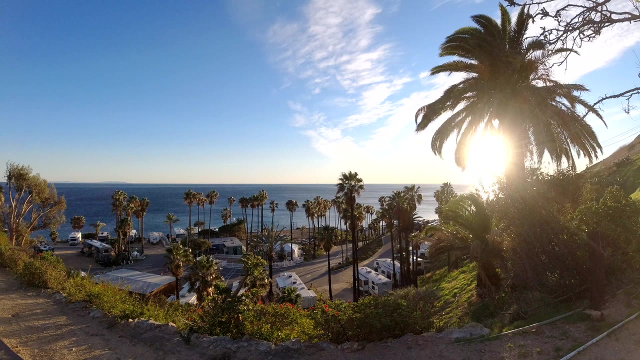 Malibu, California coastal frame showing a bright sunburst through palm fronds, parked motorhomes and cars below, scattered palms, blue ocean, and no visible people.