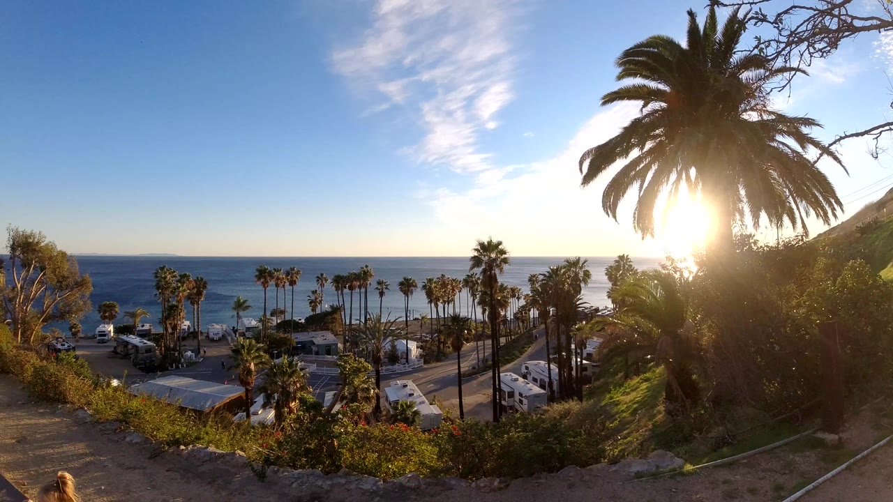 Malibu coastal hillside view with palms, shrubs, parked vehicles, ocean horizon, and low sun flaring through a large palm, with no visible people.