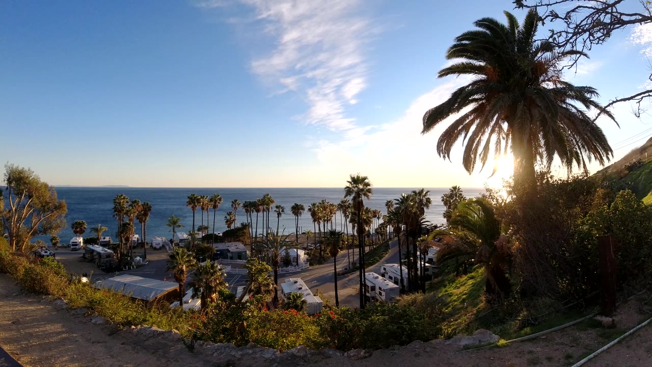 Malibu coastline seen from above the beach area, with palms across the midground, ocean horizon, bright sun near the right edge, and no visible people.
