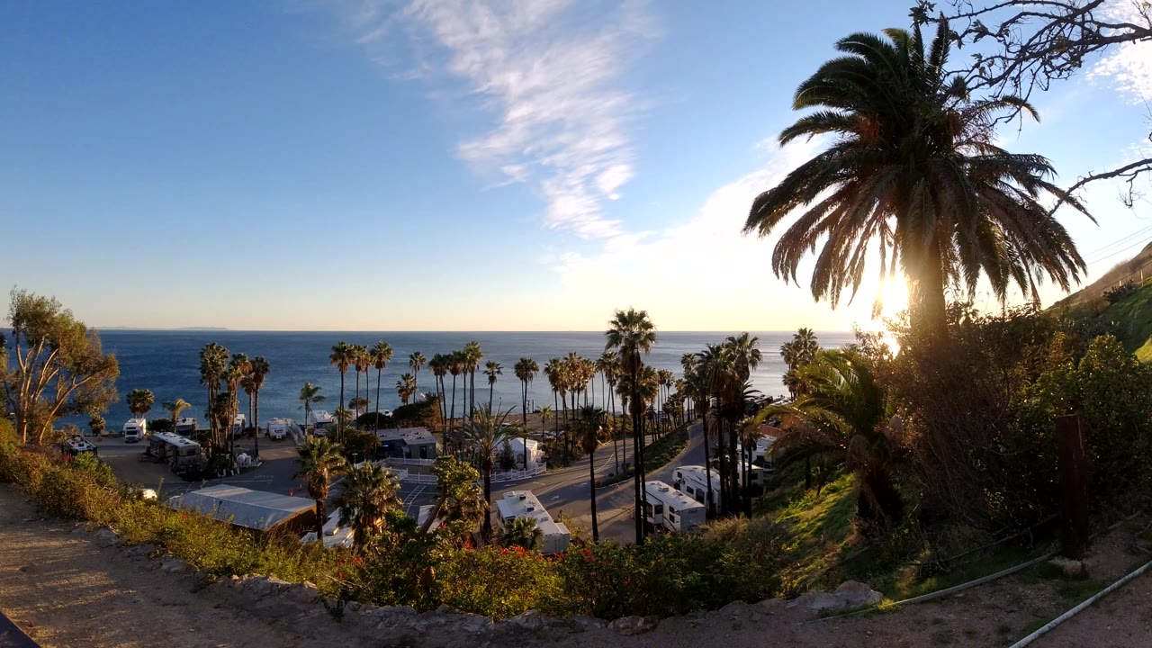 Palm-lined beach area and ocean seen from a dirt overlook in warm sunlight.