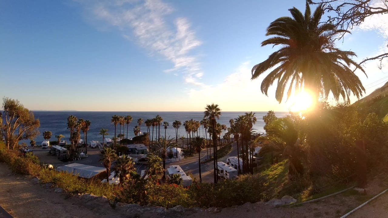 Malibu coastal overlook at 0:00 with a large backlit palm on the right, ocean horizon in the background, rooftops and road below, and no visible people.