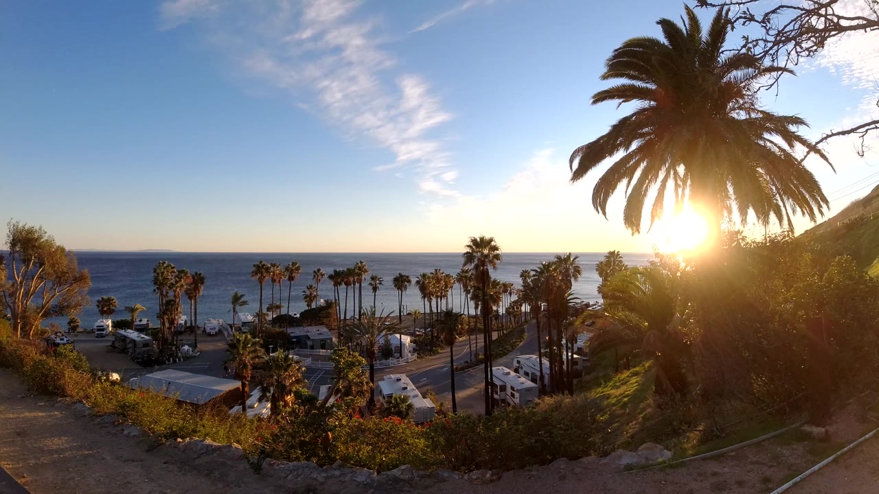 Malibu hillside view at 0:02 with a strong backlit palm at right, the ocean horizon across the rear of frame, and no visible people.