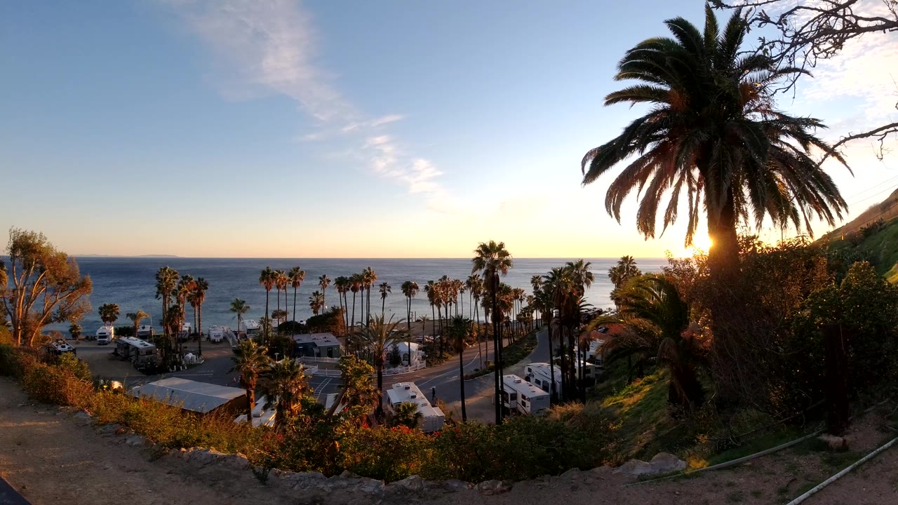 Malibu, California coastal view at the start of the clip, with a large palm at right, smaller palms near the road, ocean on the horizon, and no visible people.