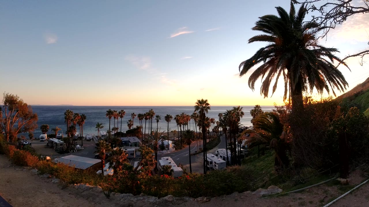 Malibu coastal overlook at 0:00 with a large palm silhouetted at right, smaller palms below, parked vehicles near the road, ocean horizon, warm low light, and no visible people.