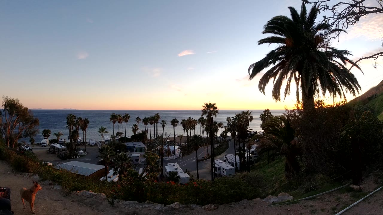 Darker coastal frame with palms and ocean beyond a road.