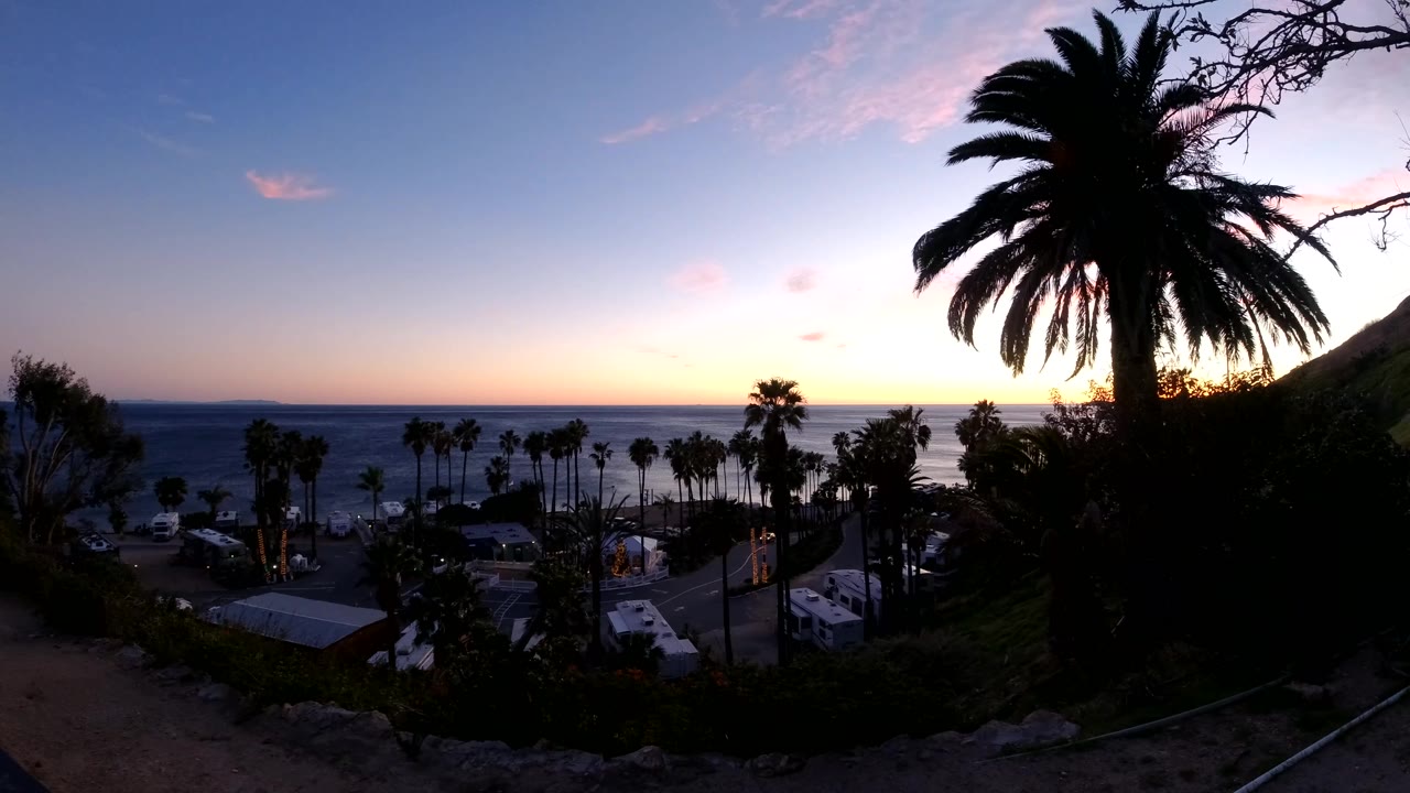 A Malibu ocean horizon stretches behind rows of palms and low coastal buildings, with the large foreground palm still in silhouette and no visible people in this frame.