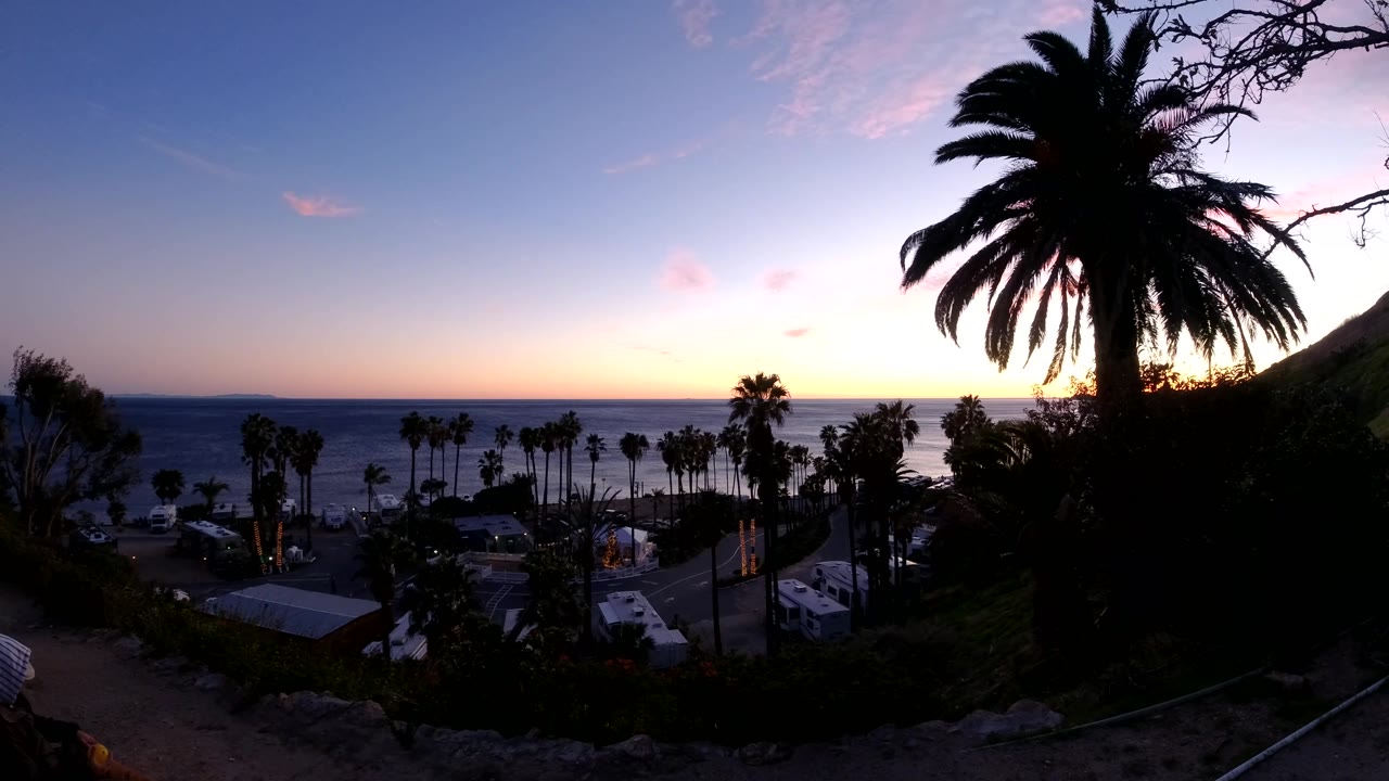 The Malibu shoreline remains below a pink-orange sky, with a large palm on the right, smaller palms near the water, rooftops, vehicles, and surf lines visible beyond them.