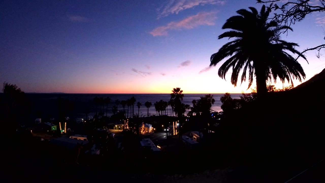 Third frame places the large palm high at right with bare branches crossing the sky, small lights below, the ocean line in the distance, and no visible people.