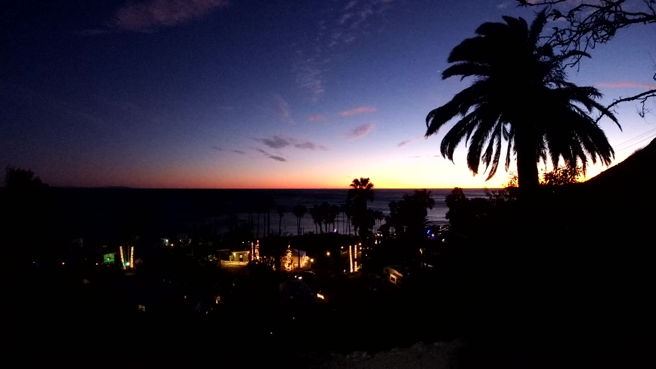 In Malibu, California, the large palm remains dark against a blue evening sky while a thinner orange strip marks the ocean horizon, with no visible people.