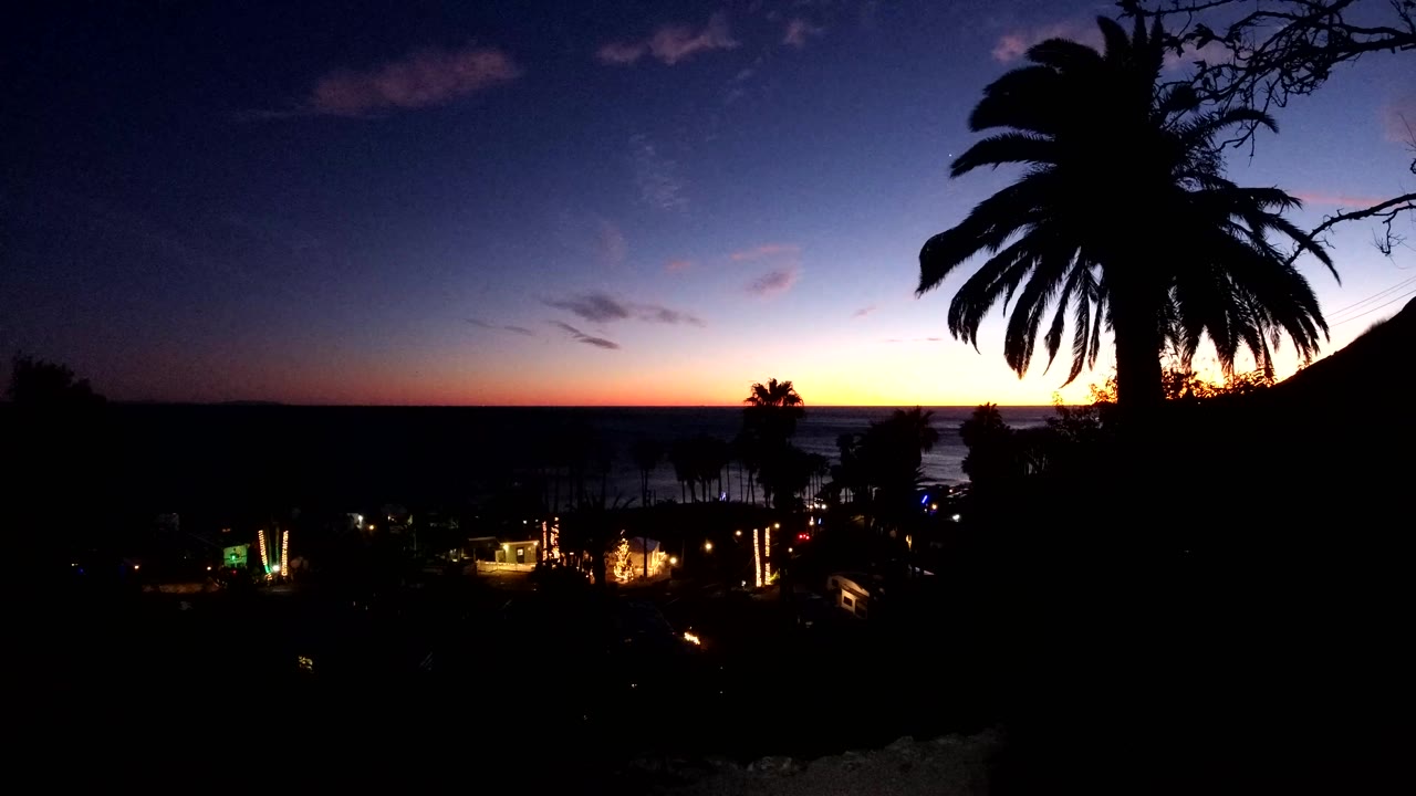 In Malibu, California, palm silhouettes sit over a dark foreground while the ocean horizon carries a narrow warm sunset band and small lights shine below, with no visible people.