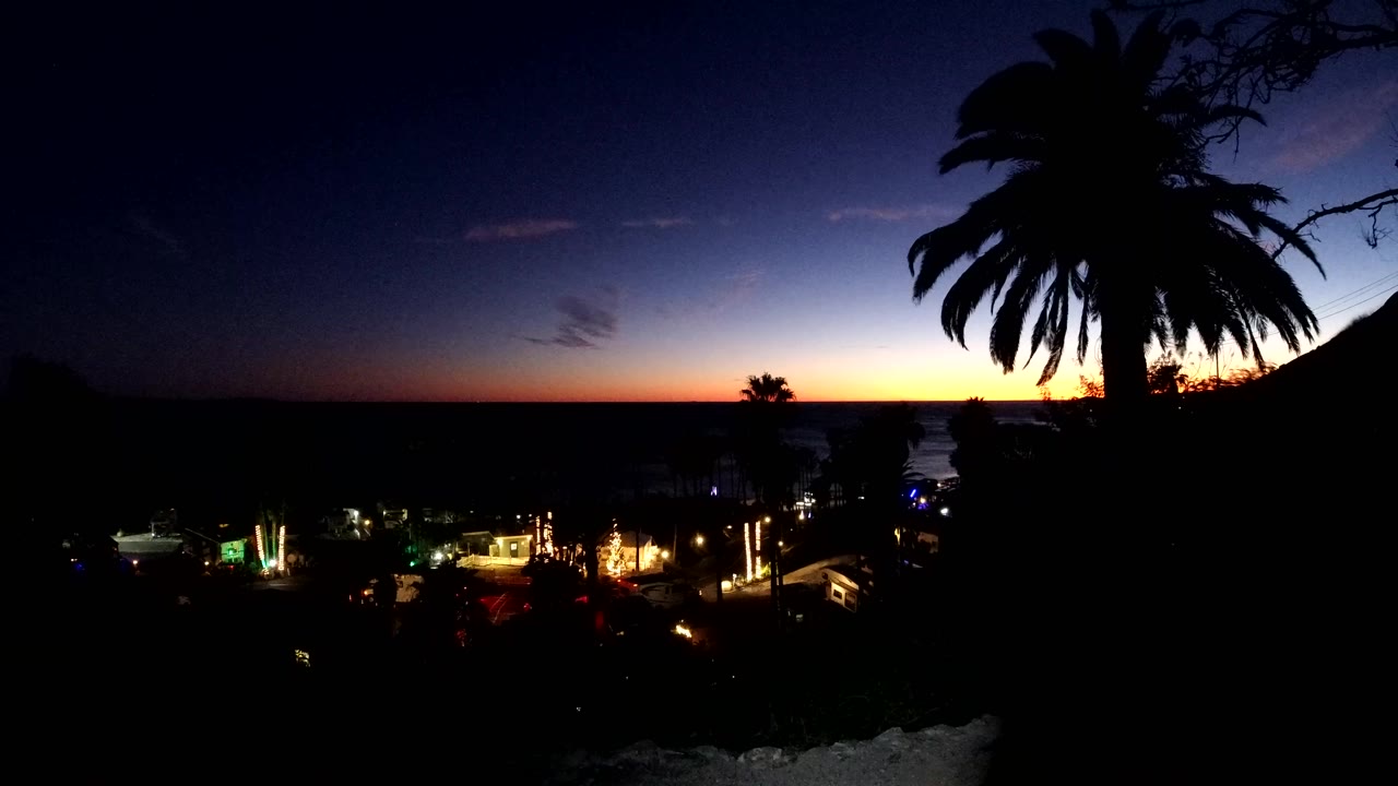 Malibu dusk frame with the palm silhouette still high on the right, a thin orange band near the horizon, scattered building and traffic lights below, and no visible people.