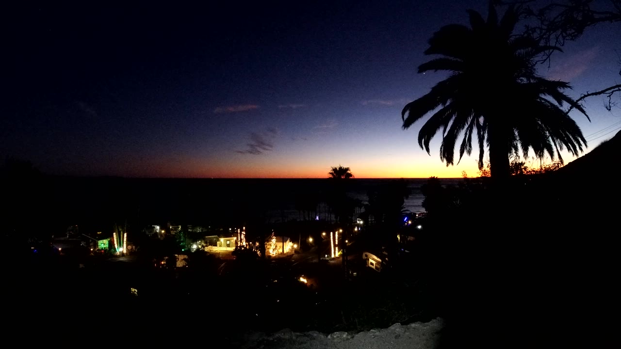 Malibu sunset view with the palm trunk and fronds silhouetted near the right edge, darker foreground hills, bright road lights below, and no visible people.