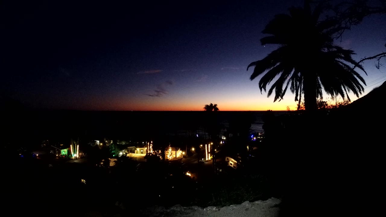 Dark palm foreground over glowing Malibu streets