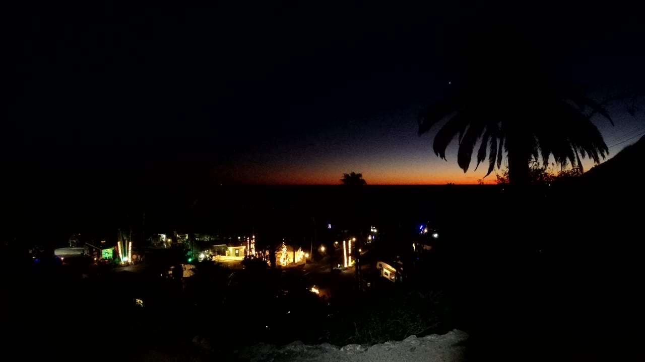 Malibu, California evening view with the palm silhouette still framing the upper right, a fading orange strip on the horizon, bright street lights below, pale shoreline at the bottom edge, and no visible people.