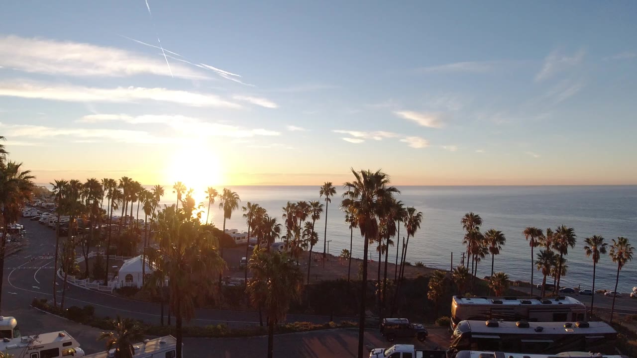 Malibu sunset view with the sun low behind palm trees, ocean water beyond the road, parked cars at the bottom edge, and no visible people.