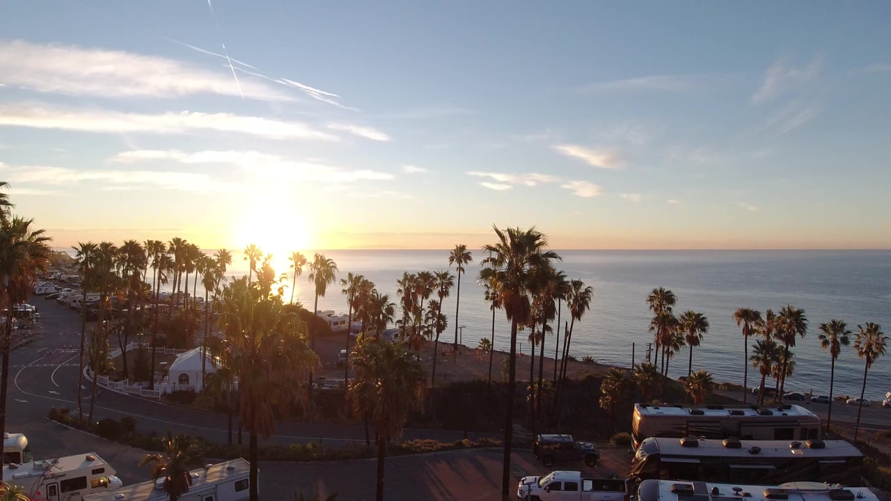 Malibu sunset frame showing palm silhouettes across the middle, blue ocean and horizon behind them, vehicles and rooftops along the bottom, and no visible people.