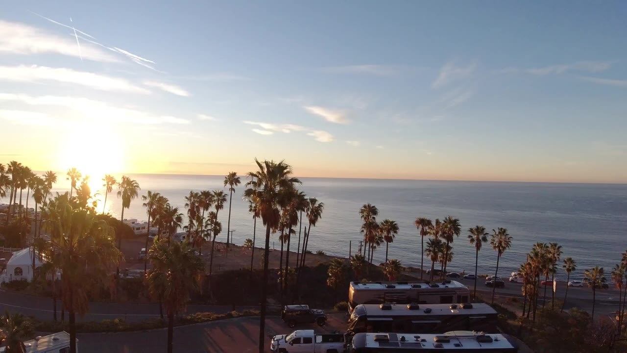 Malibu sunset view with palm trees, parked vehicles, ocean horizon, and no visible people before the dog enters the frame.