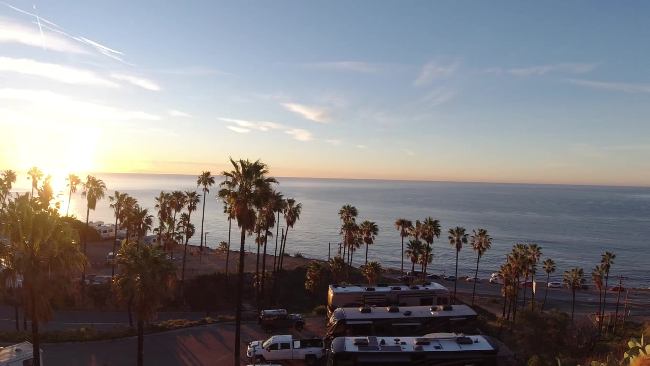 Malibu ocean view with the sun flaring from the left, palm trees across the slope, parked vehicles near the road, and no visible people.
