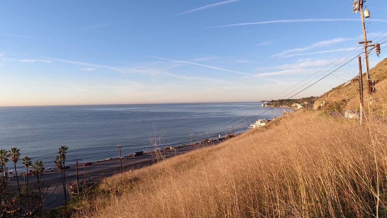 Malibu, California shoreline viewed over dry grass, with the coastal road and palms lower in frame and no visible people.