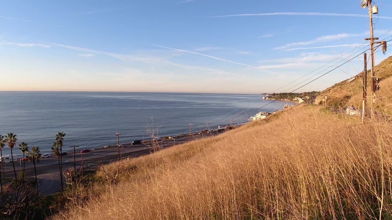 Malibu hillside view with dry golden grass in front, blue ocean beyond the road, palm trees at lower left, utility poles at right, and no visible people.