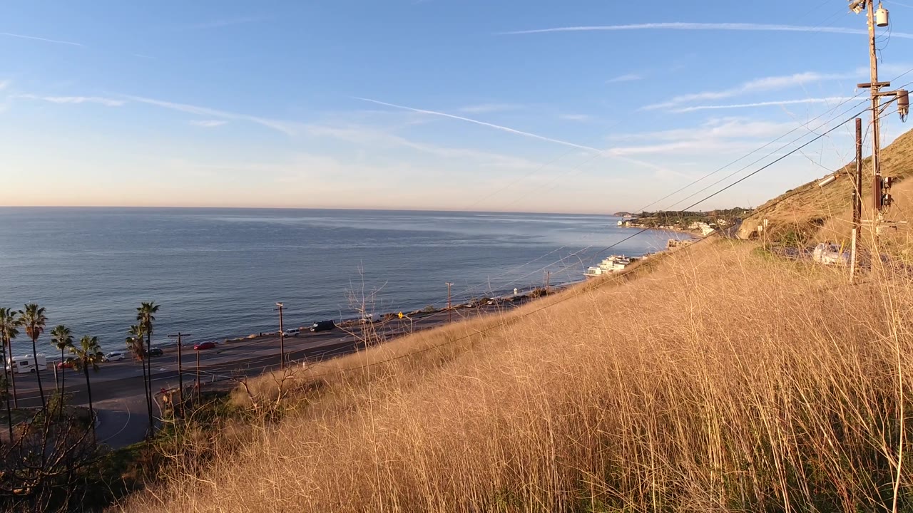 Malibu coastal slope with tall dry grass on the right, blue water across the left and center, a road below the bluff, palm trees, and no visible people.