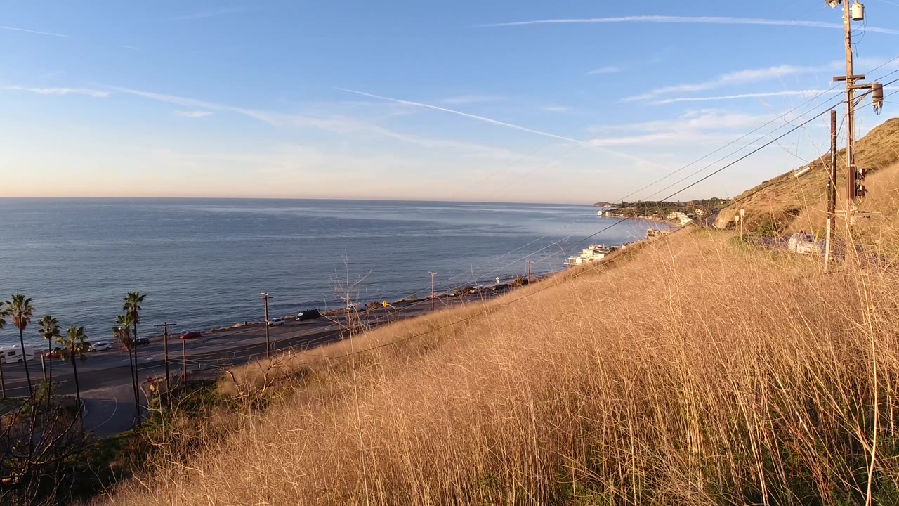 Sunny coastal overlook with ocean, dry grass, and utility poles.