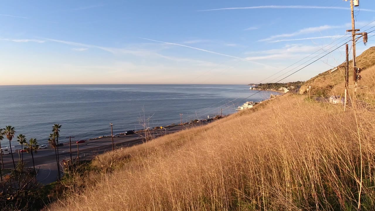 Malibu coastal view at 0:01 with the ocean horizon centered, dry grass covering the slope, palm trees near the road, utility lines crossing from the right, and no visible people.