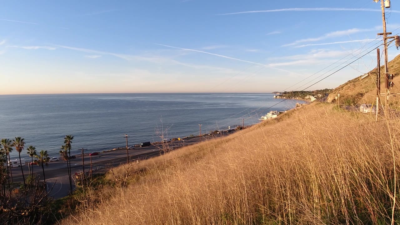 Mid-clip Malibu view with dry grass across the foreground slope, faint vehicles on the coastal road, palm trees at lower left, open ocean beyond, and no visible people.