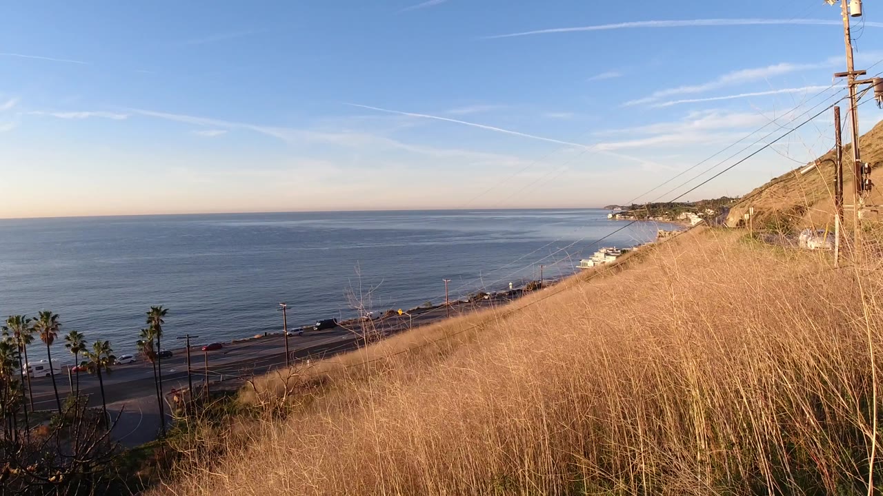 Malibu, California coastline with tan grass filling the right foreground, blue ocean across the frame, roadside palms below, and no visible people.