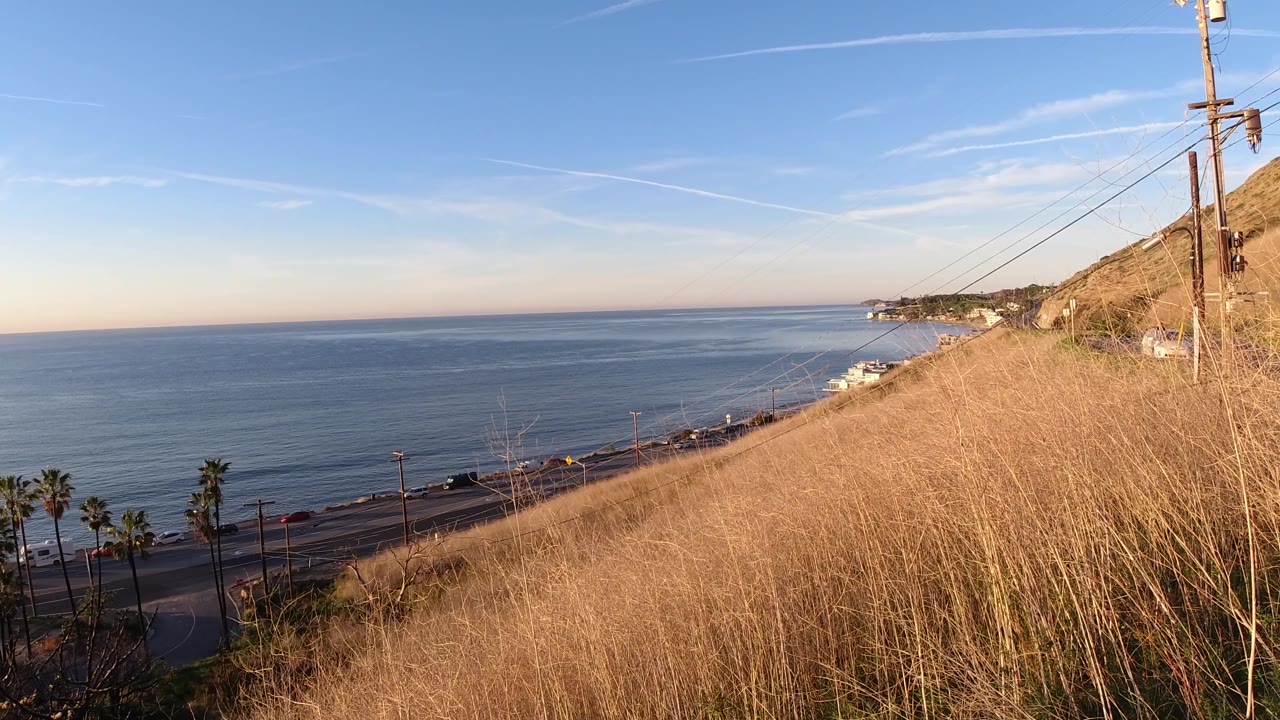 Malibu, California hillside view over blue ocean, with dry grass in the foreground, road traffic area below, palm trees, and no visible people.