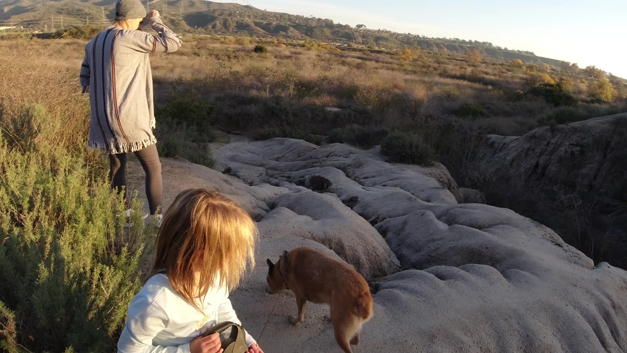 Woman and child look across rocky channels with a dog nearby.