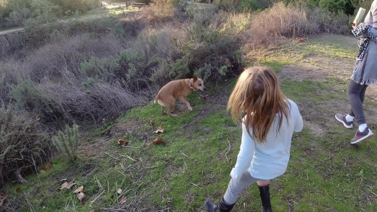 In San Clemente, California, a young girl in a light top follows a tan dog beside scrubby brush while an adult woman is partly visible at the right edge.