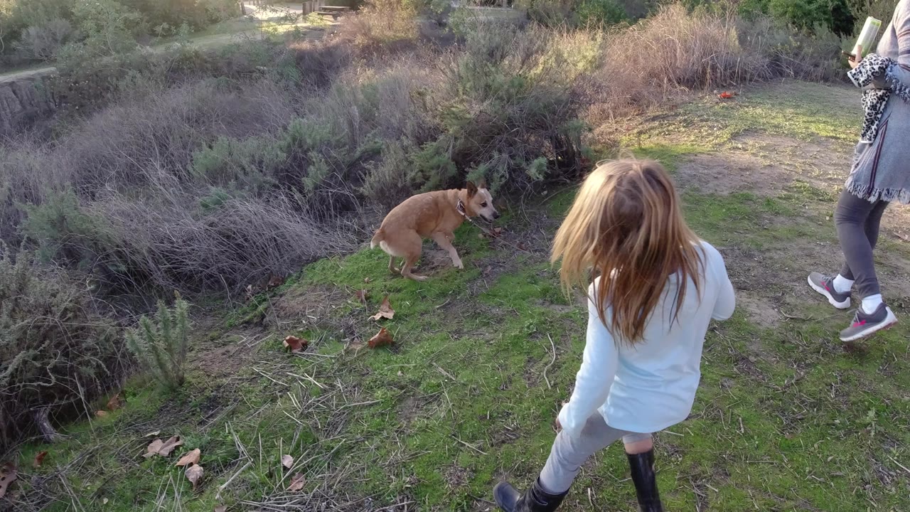 In San Clemente, California, the girl remains in the foreground while the tan dog pauses near brush and the adult woman walks across the dirt path.