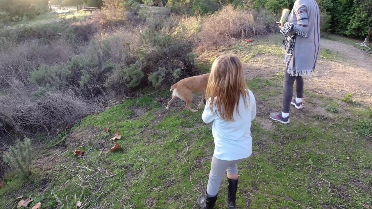 In San Clemente, California, the girl and adult woman walk after the tan dog along a dirt-and-grass track with brush filling the left side of the frame.