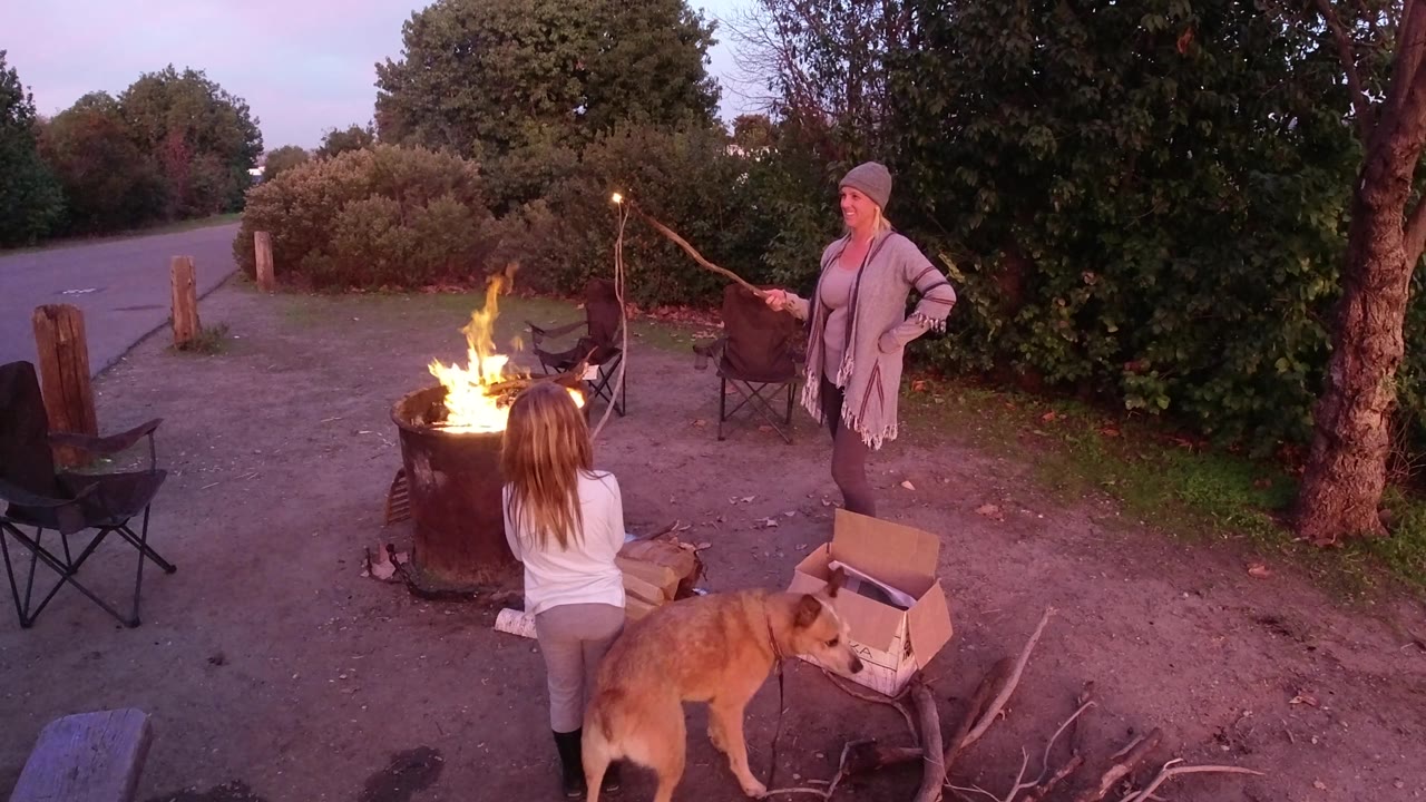 Adult with roasting stick stands beside a fire while a child and dog stay close.