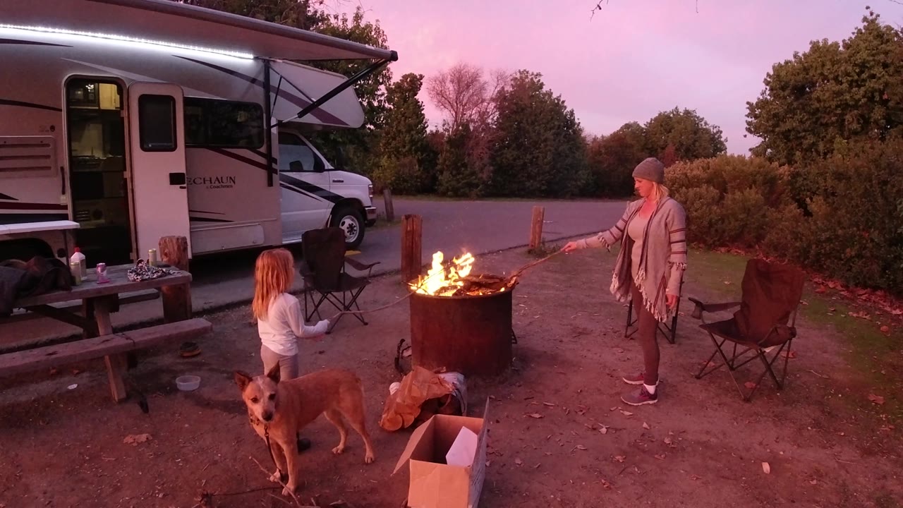In San Clemente, California, an adult holds a stick toward the campfire as a child watches from the left, with the dog low in the foreground and the RV parked behind them.