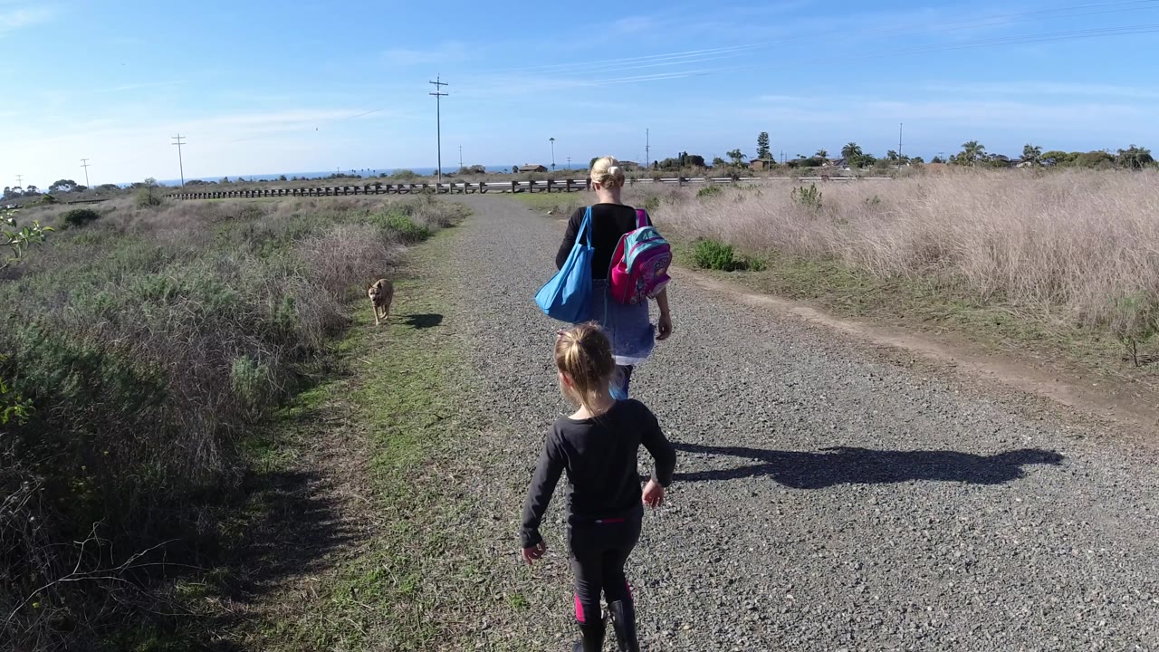 A young girl trails a few steps behind a woman on a San Clemente gravel road, while a brown dog stands ahead near the left-side grass.